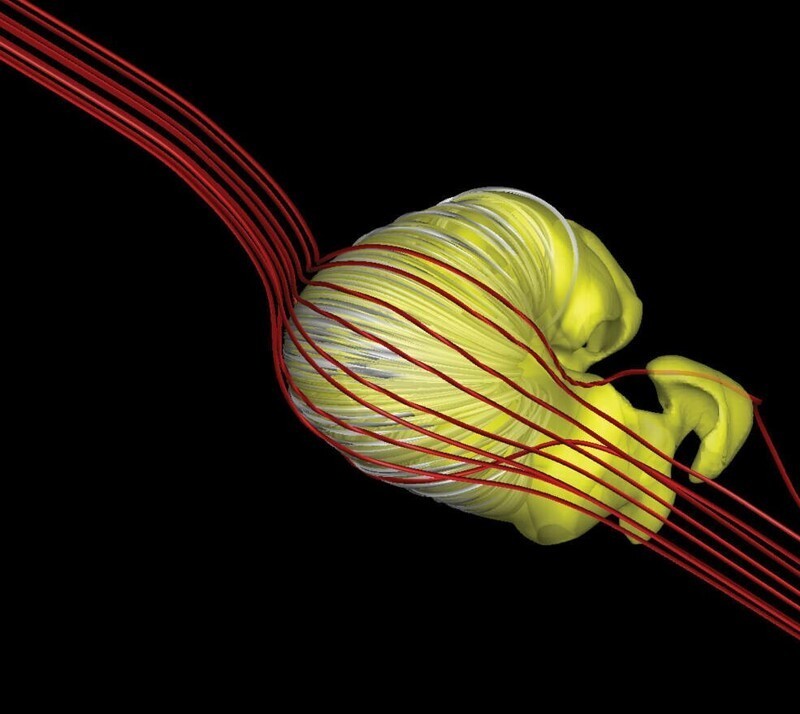 Обновленная модель предполагает, что форма образованного Солнцем пузыря гелиосферы (выделена желтым цветом), может иметь форму сдутого круассана, а не форму кометы с длинным хвостом, предложенную другими исследованиями.