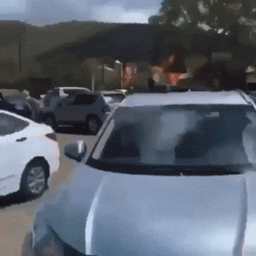 Гифки Гифки