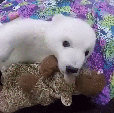 Гифки Гифки