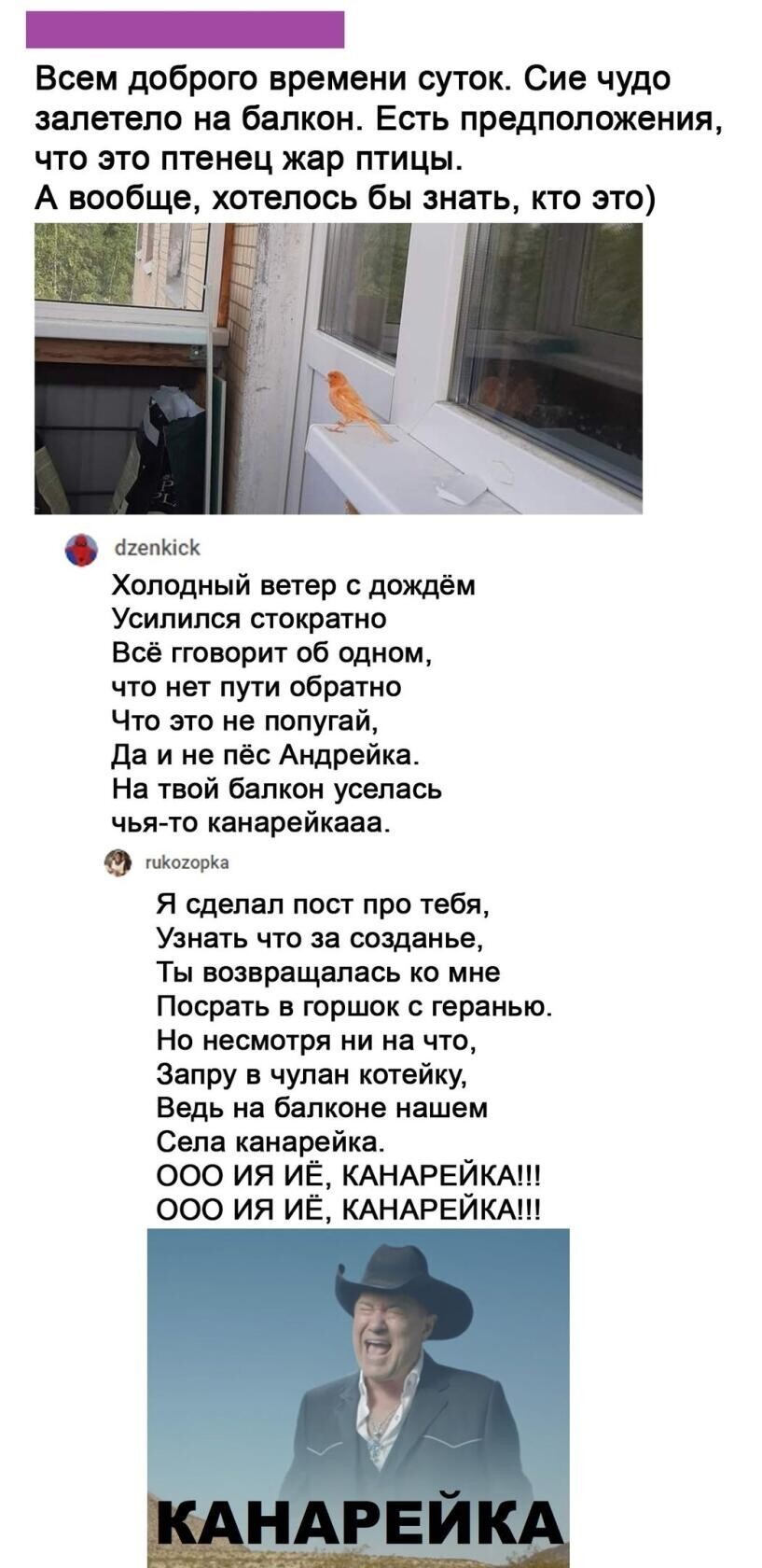 Хохотальня от Северное сияние за 08 августа 2020