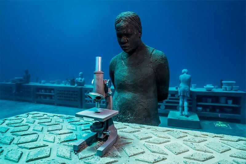 "Коралловая оранжерея": новая работа Джейсона ДеКайреса Тейлора