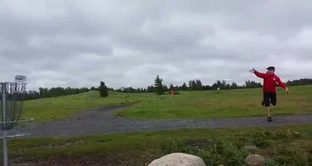 Гифки Гифки