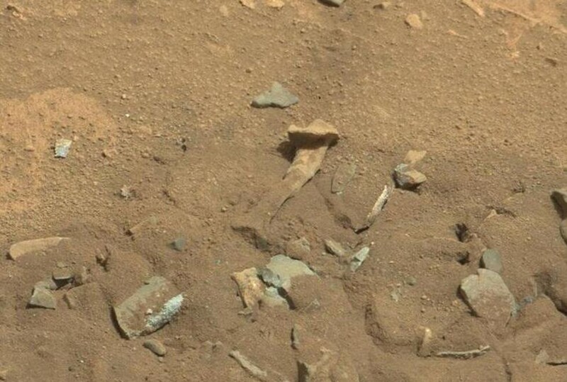 Бедренная кость на Марсе?