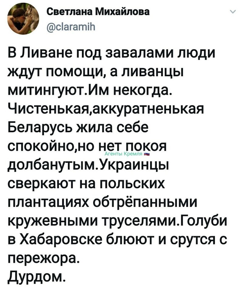 Политические комментарии из инета