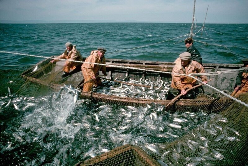 Рыбаки ловят омуля на Байкале. Автор фото Дин Конгер, 1975 г.