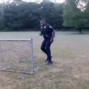 Способы преодоления забора