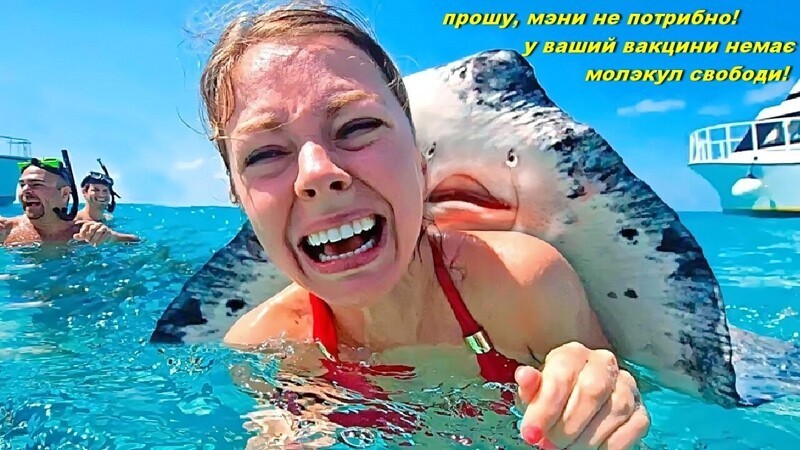 … А можно мне сегодня два укола?  Для верности? - Для верности кому?  (Виктор Пелевин. Прощальные песни политических пигмеев пендостана.) 