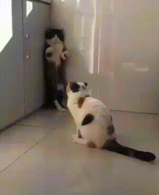 Гифки разные Гифки разные