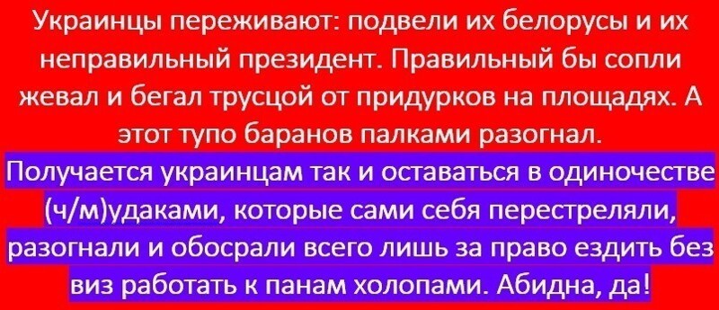 Политические комментарии из инета