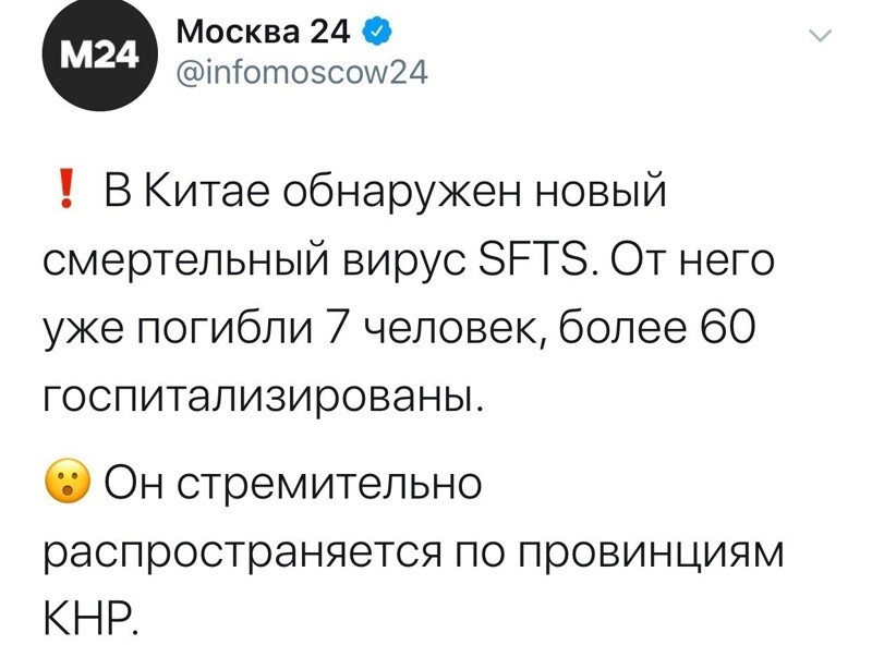 2020 попридержи лошадей