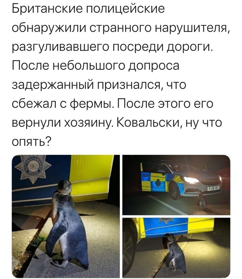 Политические комментарии 2