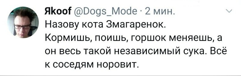 Политические комментарии 2