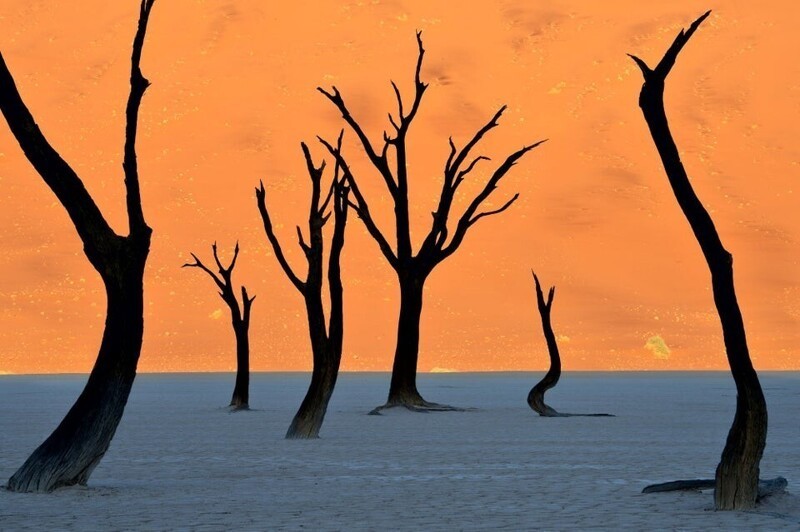 Это не картина, а фотография пустыни Намиб