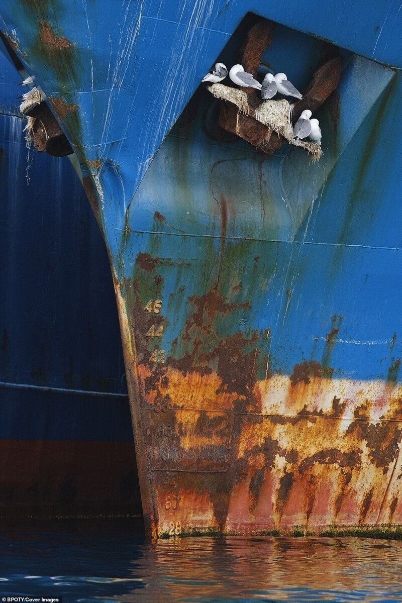"Старый корабль", фотограф неизвестен, Испания