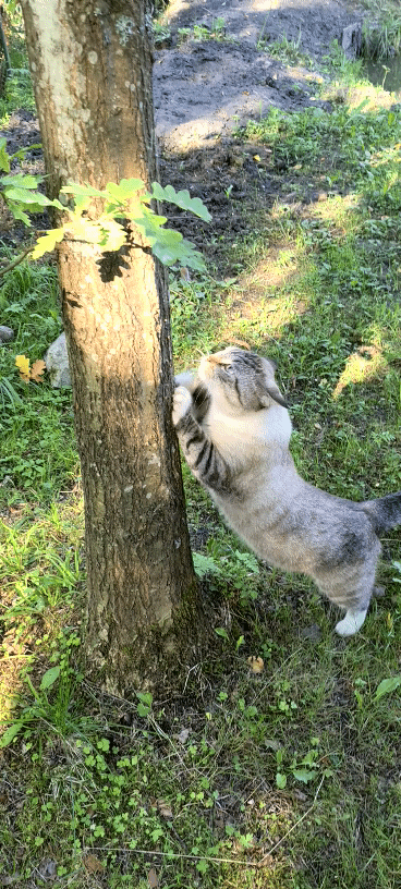 Утренняя разминка