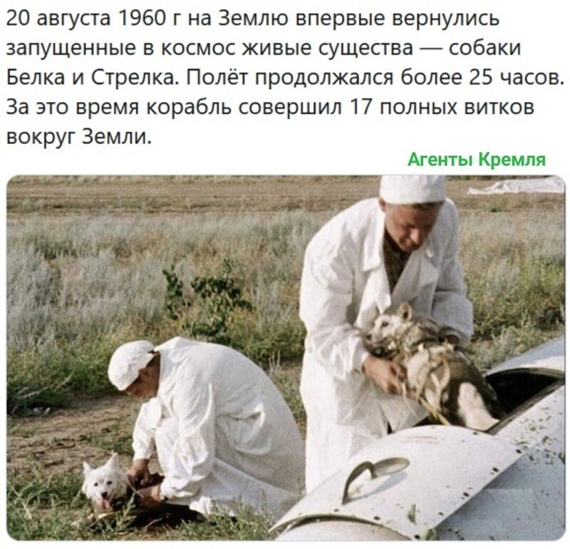 Политические комментарии из инета