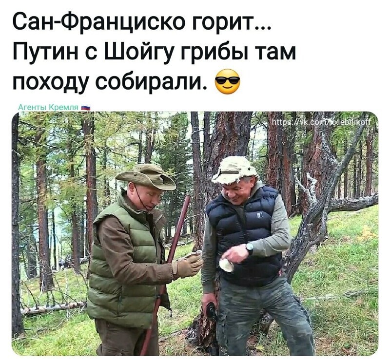 ВСЕ ЗА ГРИБАМИ!!! ШЕФ УЖЕ НА МЕСТЕ