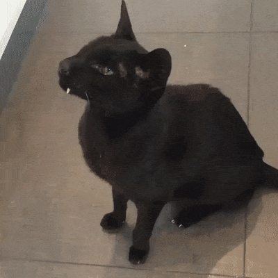 Гифки разные