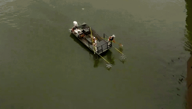 Гифки Гифки