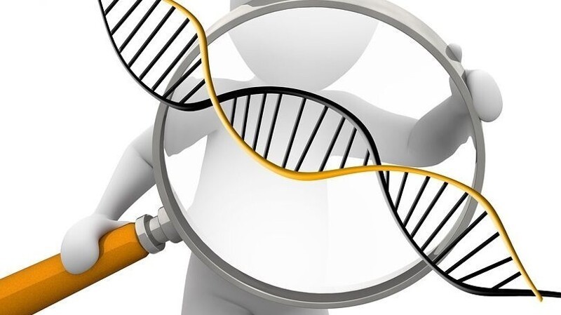 О необходимости исправлять геном человека заявят рано или поздно