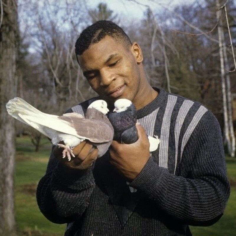 Майк Тайсон со своими голубями. 1985 год.