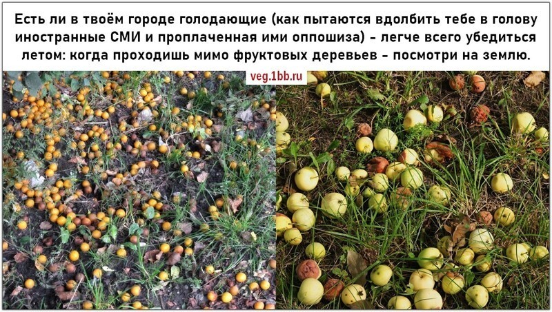 Политические комментарии из инета