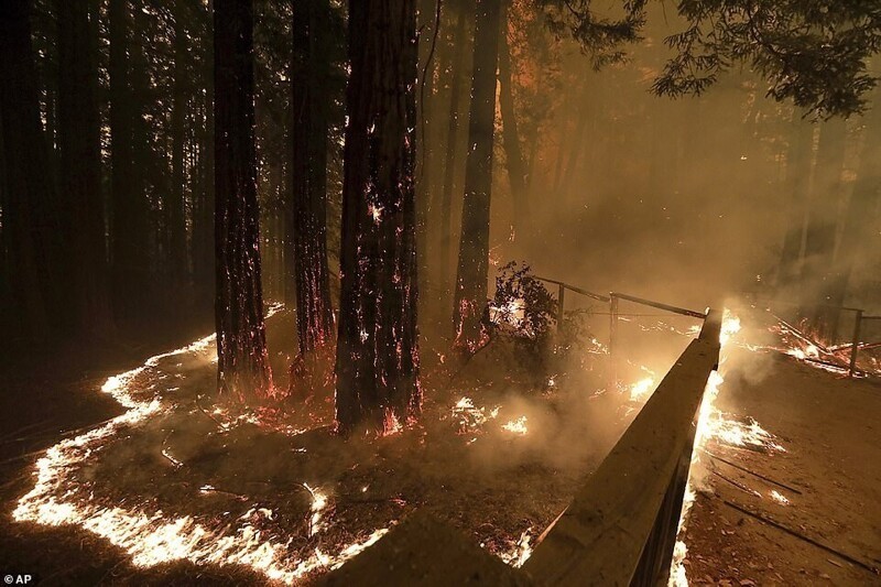 Калифорния горит