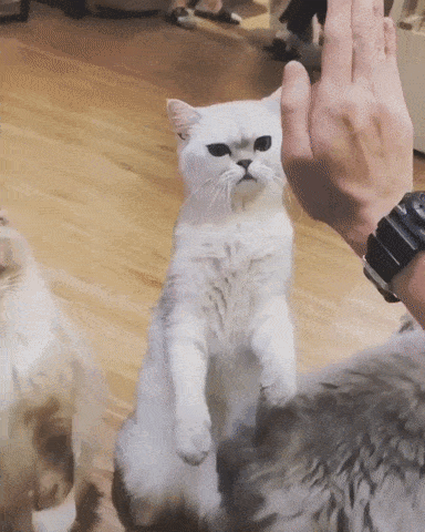 Гифки разные