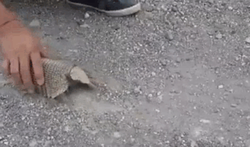 Гифки разные