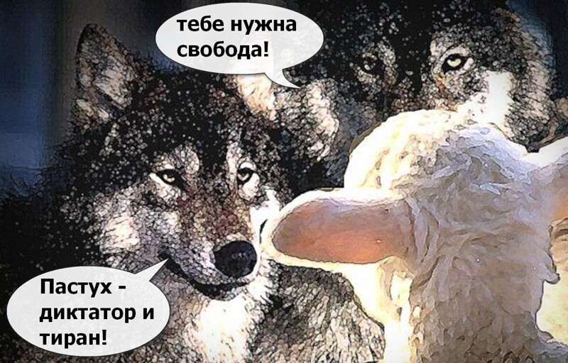 Политические комментарии из инета