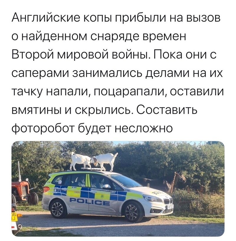 Политические комментарии из инета