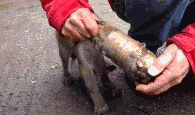 Гифки разные