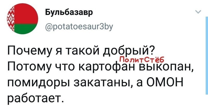 Политические комментарии из инета