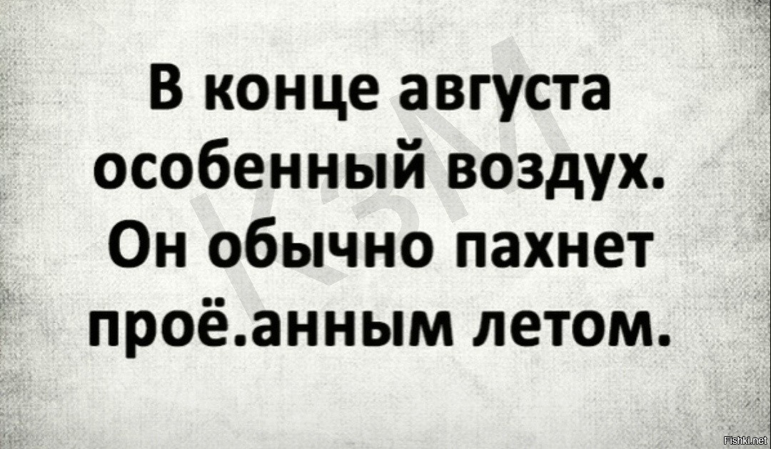 Обычно они принимали то. Обычно они принимали то. Кто много обещает тот. Обычно они принимали то. Сварщик мем.