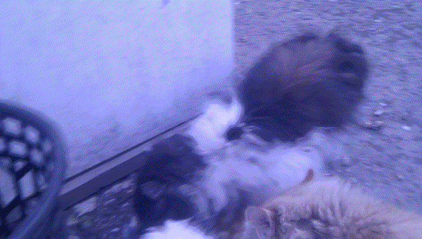 Гифки разные