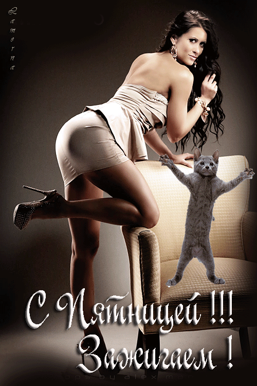 Алкопост на вечер этой пятницы Алкопост на вечер этой пятницы