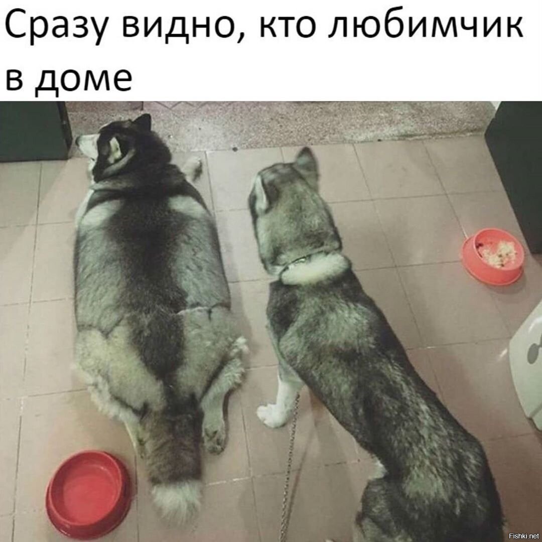 Сразу видать