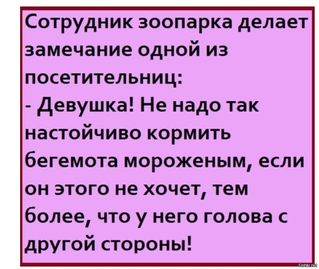 Смешные истории. Анекдот девочка отойди. Анекдоты про именинников смешные очень. Мороженое Бегемот.