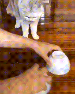 Что это было, хозяин?