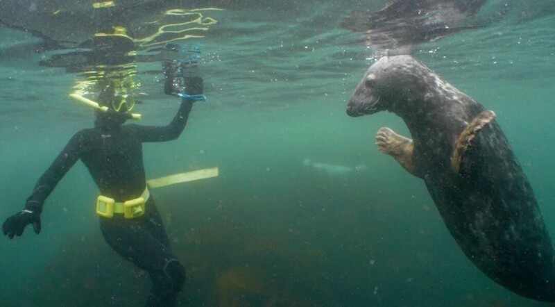Дэн Эббот - фотограф, специализирующийся на работе и съемке крупных морских животных, в частно