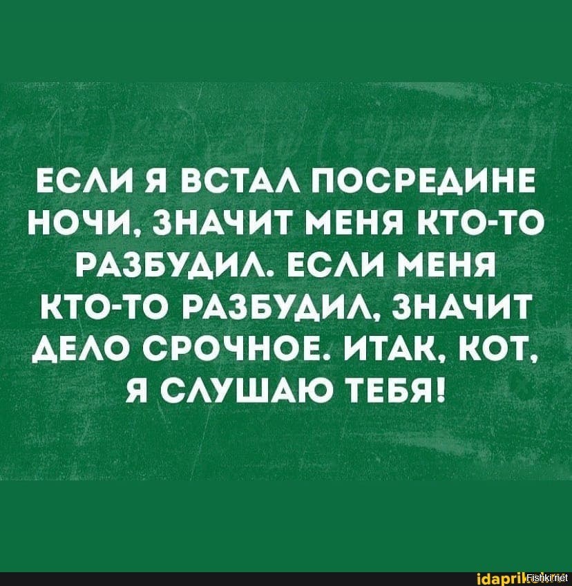 Я забыл что значит ночь. Кто меня разбудил. Итак кот я тебя слушаю. Бывает ждешь веру надежду.