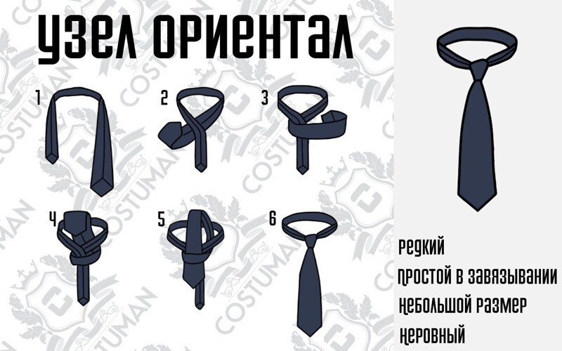 Как завязать галстук: пошаговая инструкция с фото — основные узлы | Сергей Беляев | Дзен