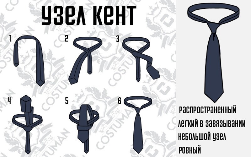 Как завязать галстук: 17 способов