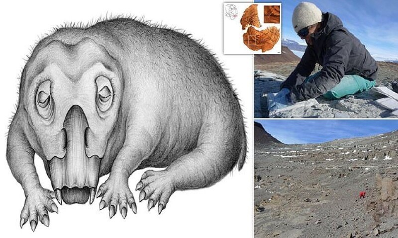 Палеонтологи выяснили, какое животное первым научилось впадать в зимнюю спячку