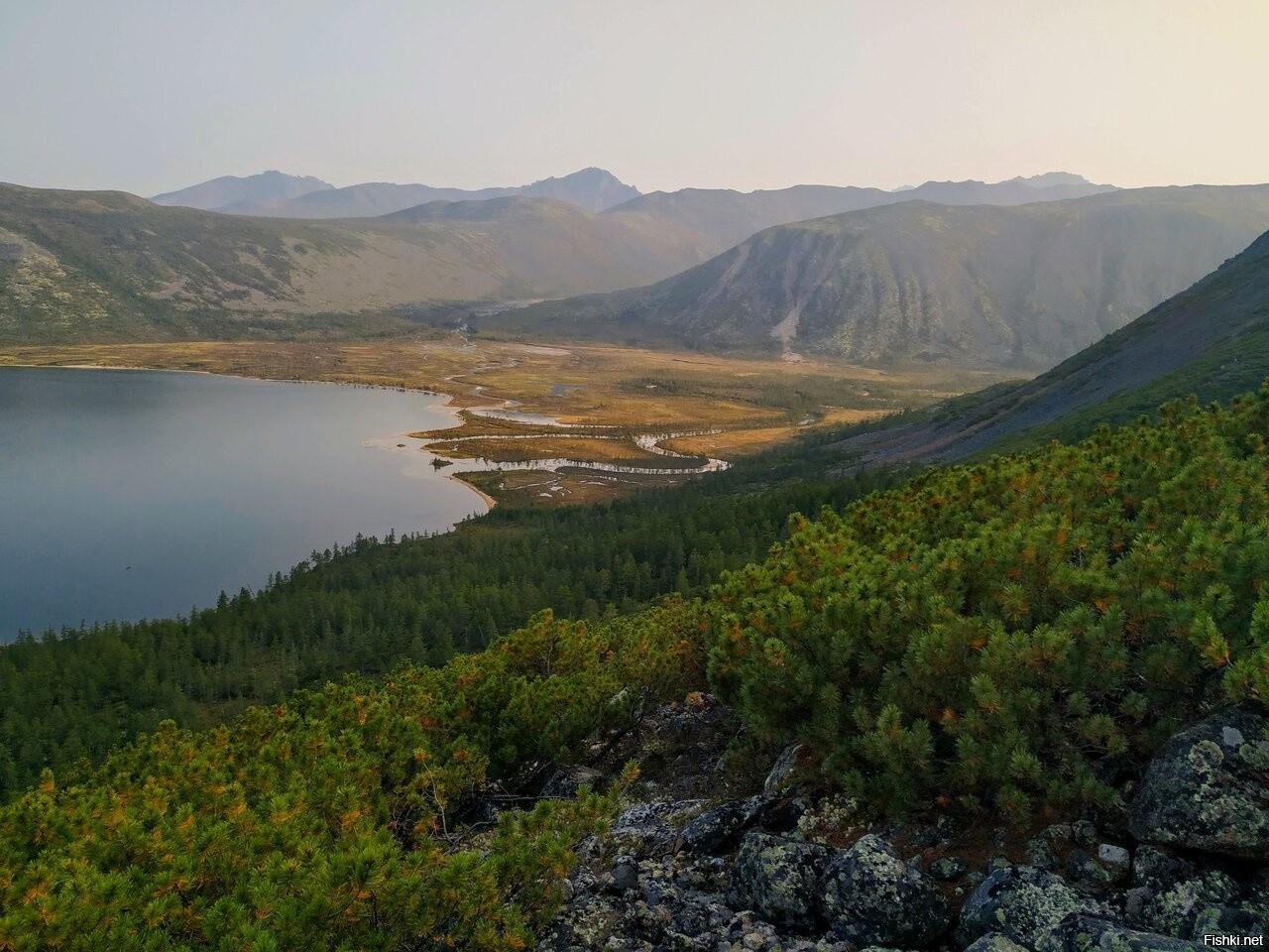 Северная красота