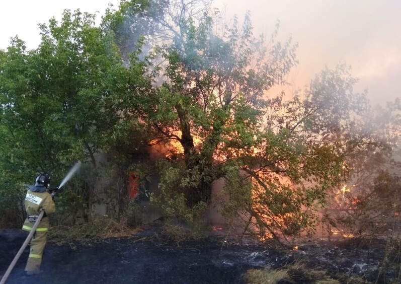 В Ростовской области горит 170 га леса