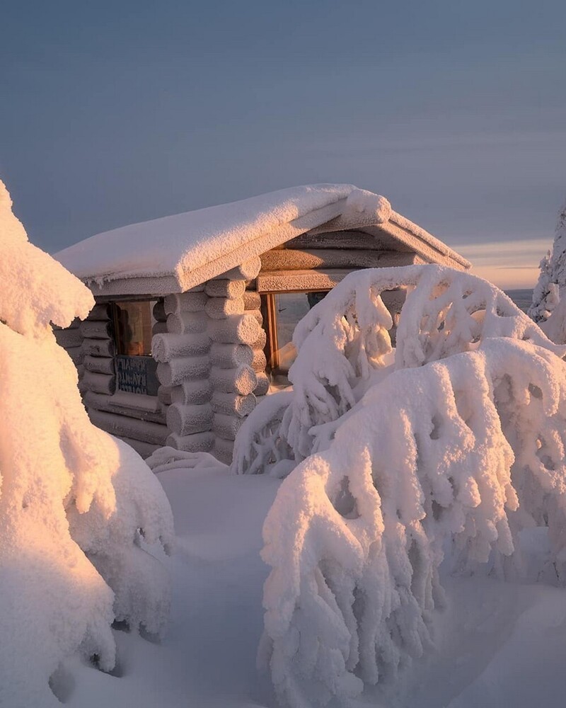 Зимняя сказка на снимках Андрея Базанова