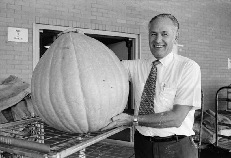 Сентябрь 1970 года. США. Х. Ф. Бруно и его 95 фунтовая тыква.