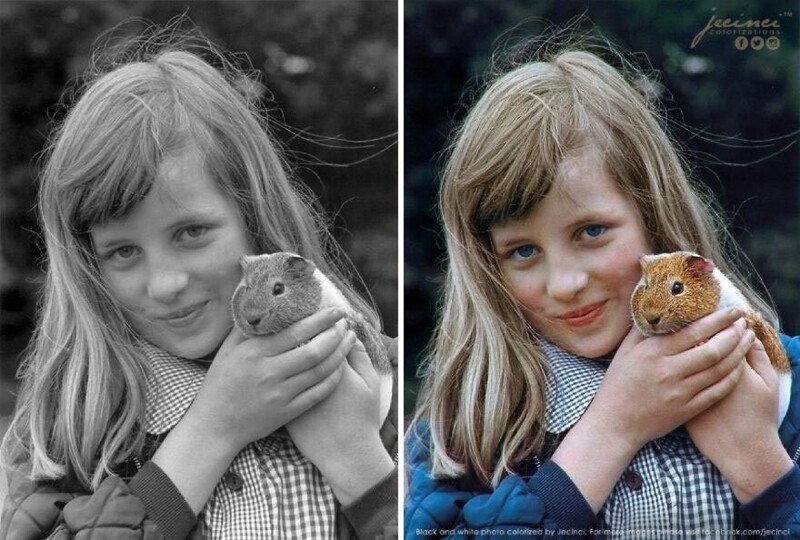 Маленькая принцесса Диана с морской свинкой на выставке животных в Сандрингеме, 1972 год.