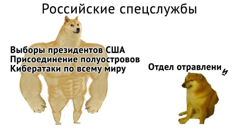 Политические комментарии из инета